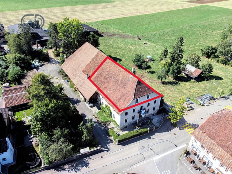 Dachboden zur Einrichtung in Bassecourt (6)