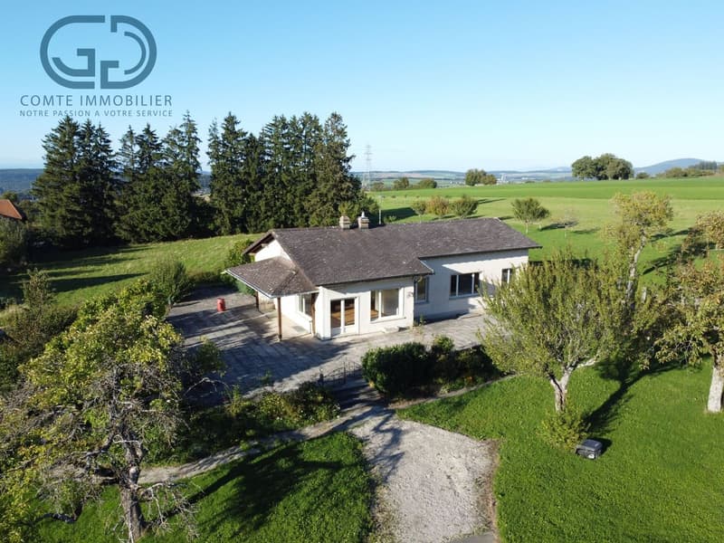 Individual villa on a large plot close to nature (1)