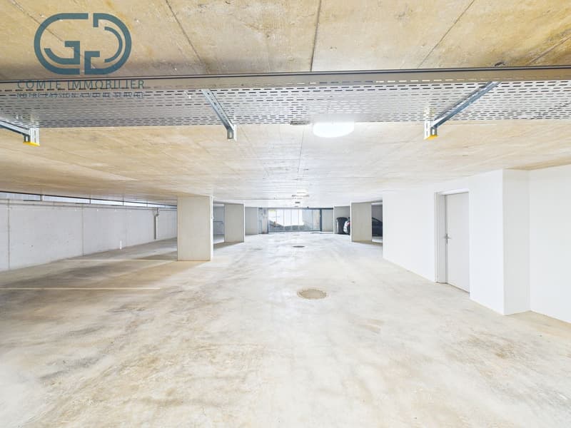 Appartamento nuovo di 4,5 locali con grande terrazza - Alta efficienza energetica (8)