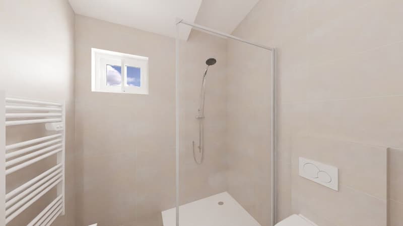 Attic apartment with 4.5 rooms, renovated, with 2 terraces (4)