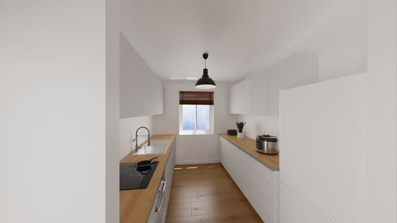 Attic apartment with 4.5 rooms, renovated, with 2 terraces (2)