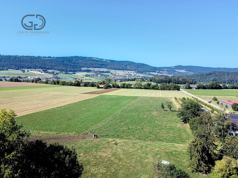 Building plot on the edge of an agricultural area (1)