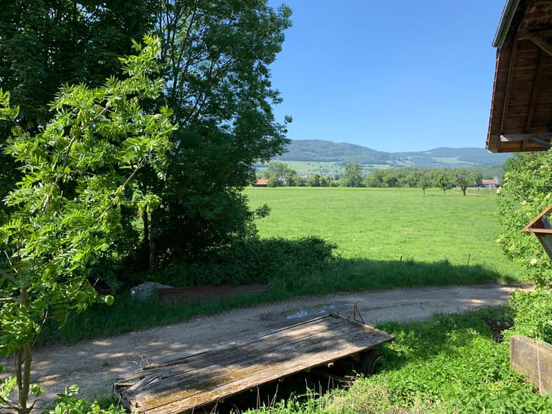 Building land on the edge of an agricultural area (4)
