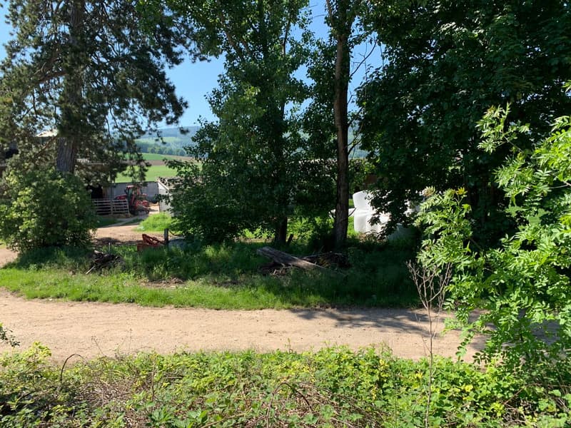 Building land on the edge of an agricultural area (5)