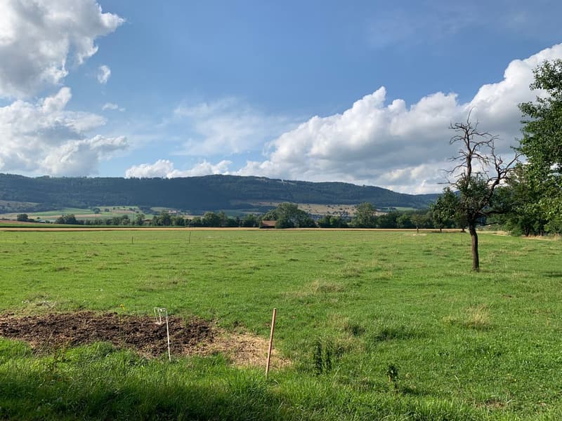 Building land on the edge of an agricultural area (2)