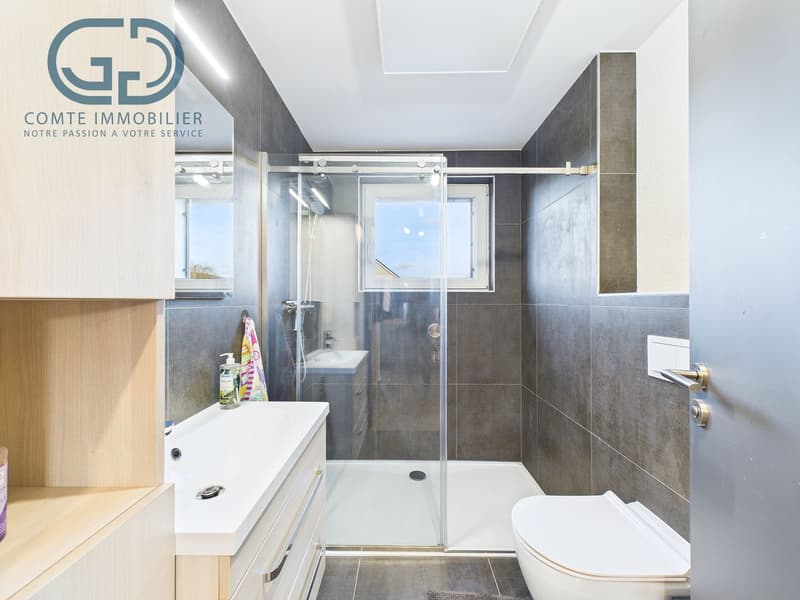 Wohnung mit 7 Zimmern renoviert (9)