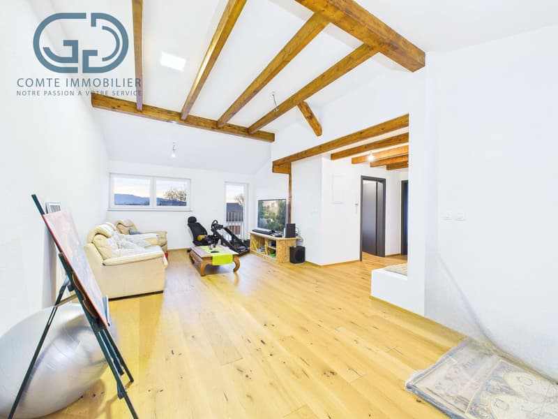 Wohnung mit 7 Zimmern renoviert (4)