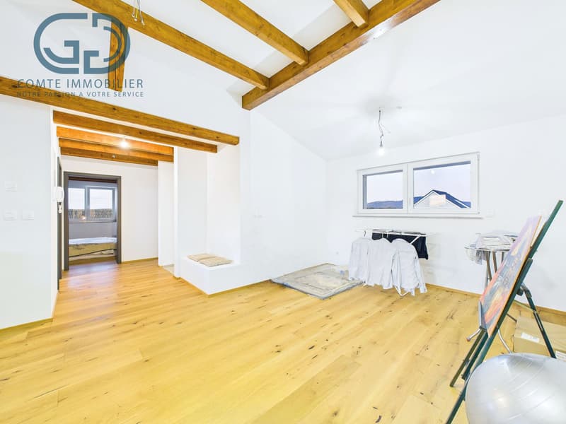 Wohnung mit 7 Zimmern renoviert (5)