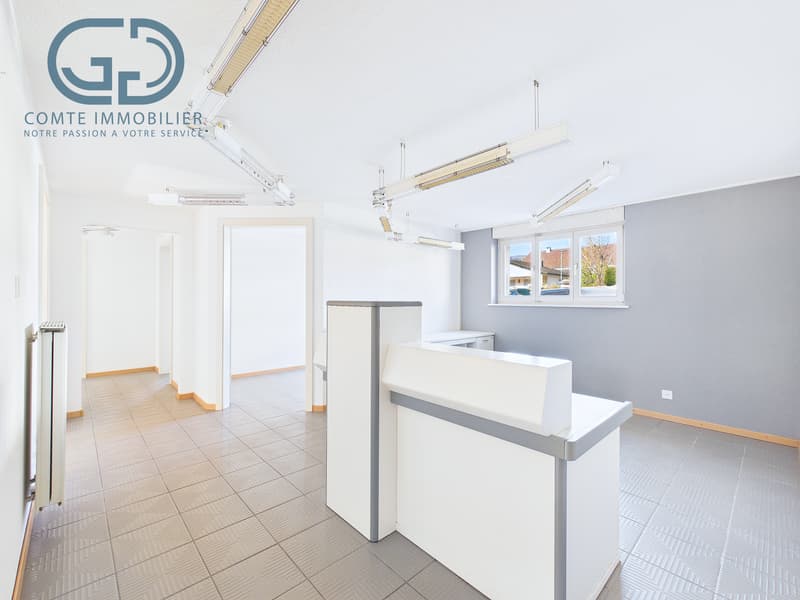 Splendide appartement au rez-de-chaussée (1)