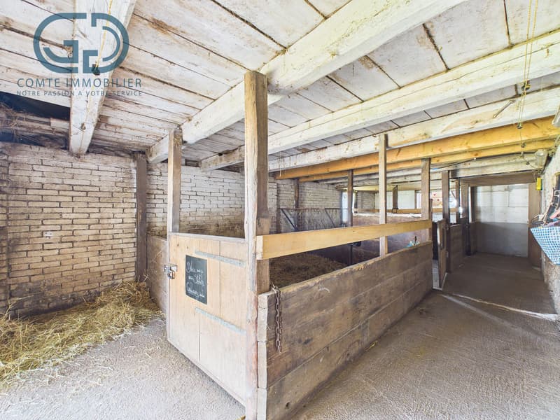 Ferme composée de 2 logements avec écurie et terrain (11)