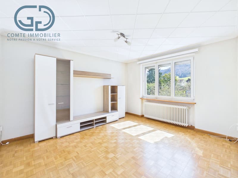 Maison individuelle avec une grande surface commerciale (4)