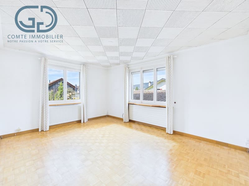 Maison individuelle avec une grande surface commerciale (5)