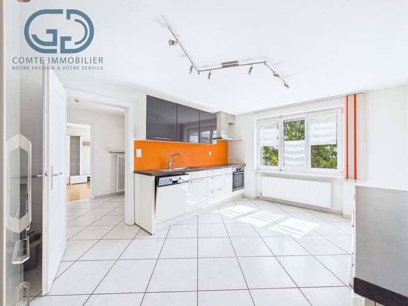 Maison individuelle avec une grande surface commerciale (3)