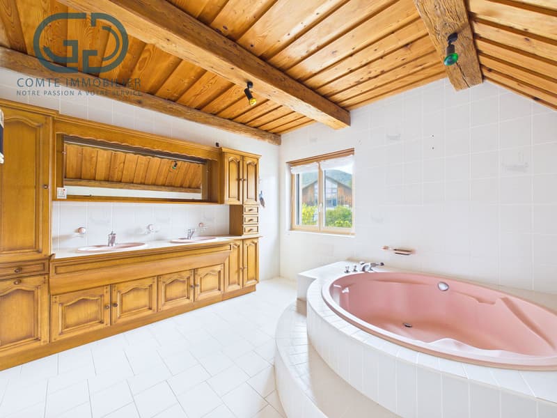 Splendid individual house (9)