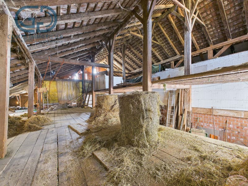 Corps de ferme