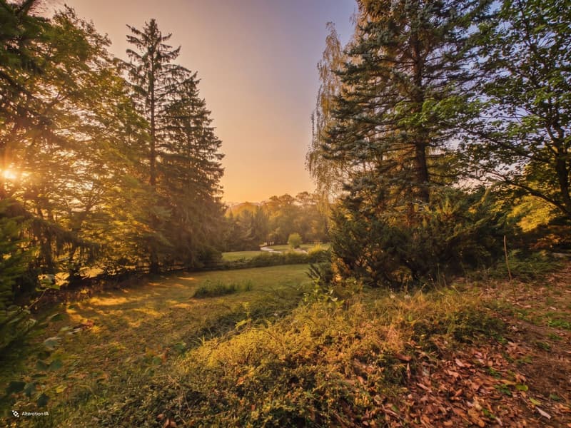 Couché de soleil
