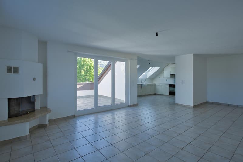 Superbe appartement de 4.5 pces à louer (1)