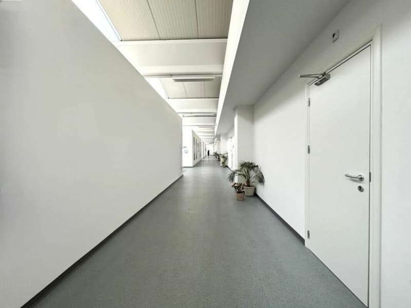 Superficie ad uso ufficio, laboratorio, magazzino, ecc. (7)