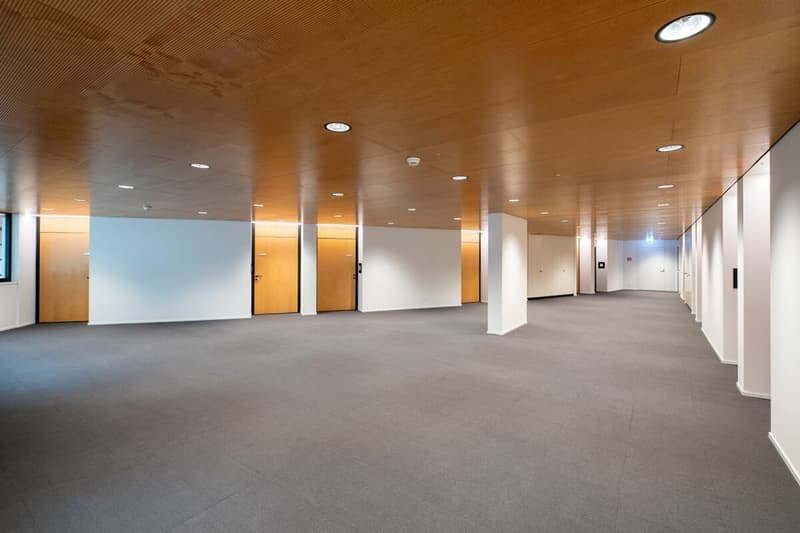 Büros verschiedener Größe, teilbar, in funktionaler und prestigeträchtiger Lage (10)