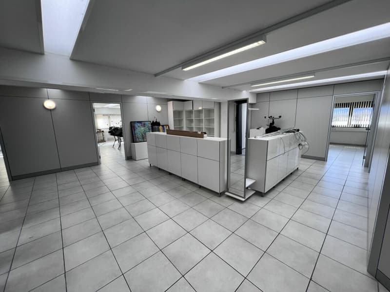 Industrielle/Handwerksfläche/Büro (aufteilbar) (3)