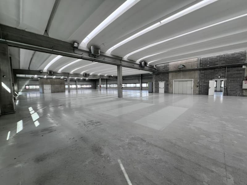 Industrielle/Handwerksfläche/Büro (aufteilbar) (2)