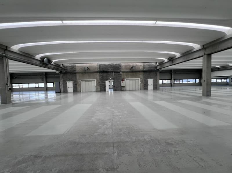 Industrielle/Handwerksfläche/Büro (aufteilbar) (1)