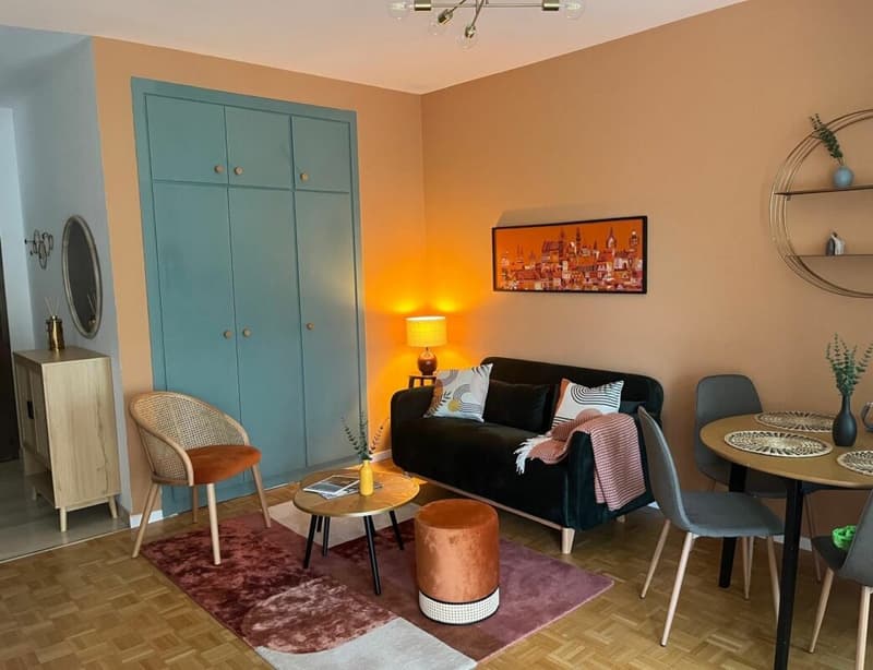 Strategisches Einzimmerapartment in zentraler Lage (4)
