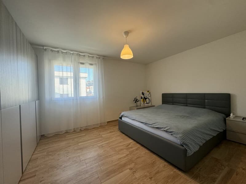 Luminieux et moderne appartement 2,5 pièces (3)