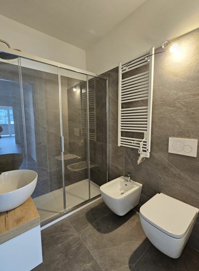 3.5 locali completamente ristrutturato (9)