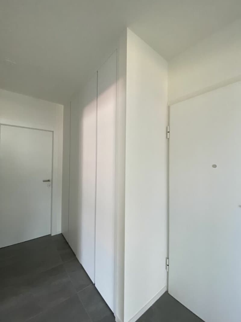 3.5 locali completamente ristrutturato (5)
