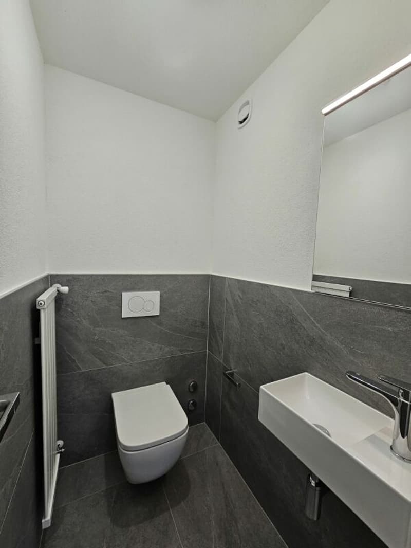 3.5 locali completamente ristrutturato (6)