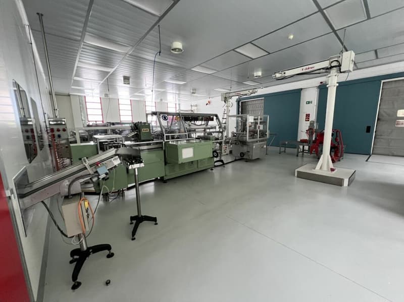 Immobile industriale - artigianale (4)