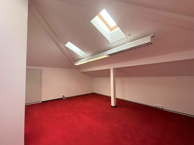 Büro im Zentrum von Lugano (4)