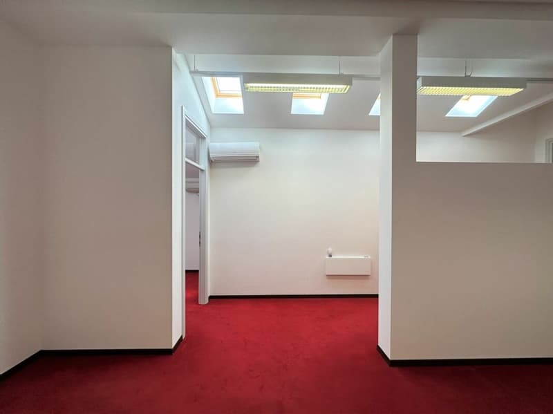 Büro im Zentrum von Lugano (3)