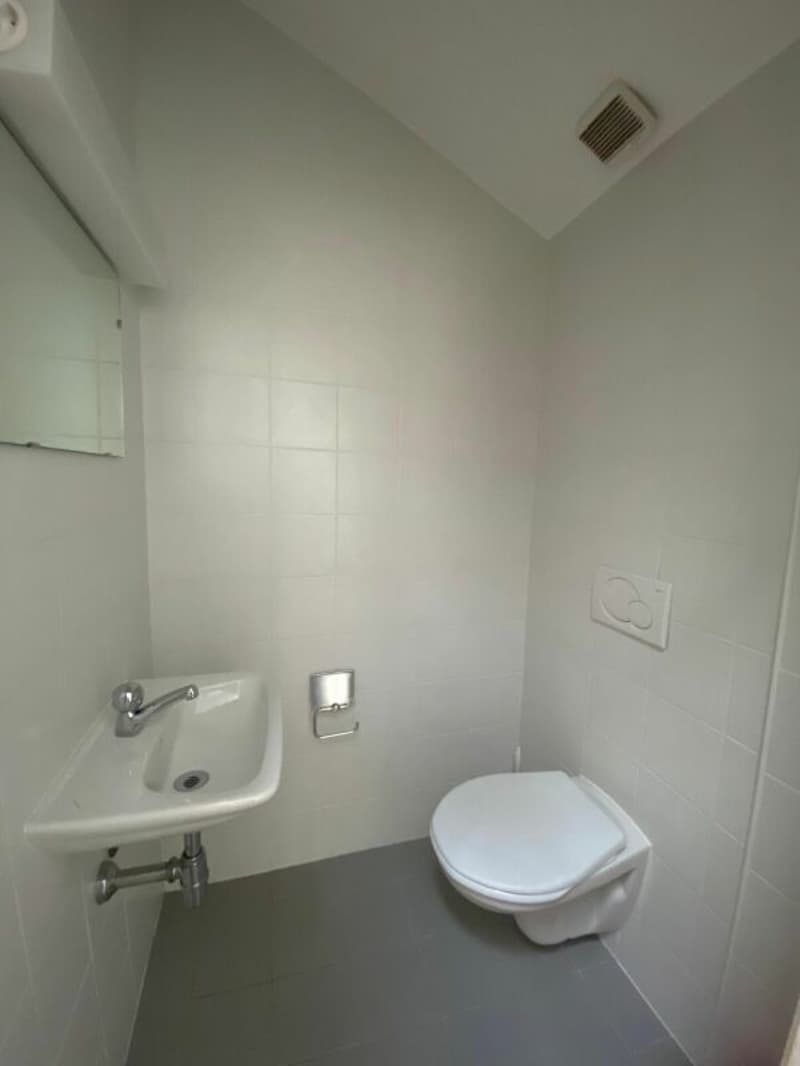 Bureau mansardé dans le centre de Lugano (4)