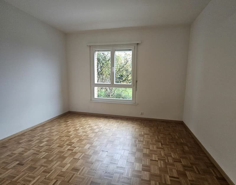 3,5 locaux avec jardin (6)
