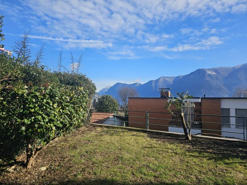 3,5 locaux avec jardin (2)