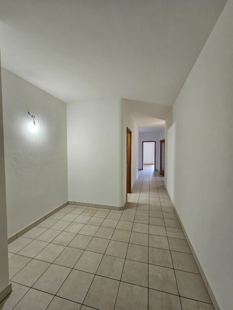 3,5 locaux avec jardin (7)