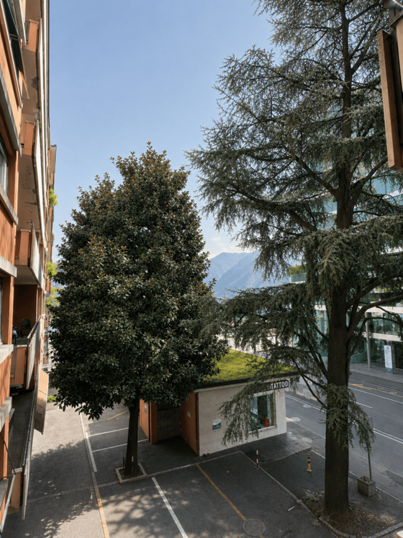 2.5 rooms (5)