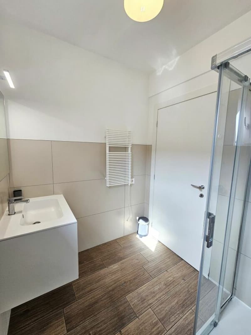 Appartement moderne de 2,5 pièces meublé avec balcon (7)