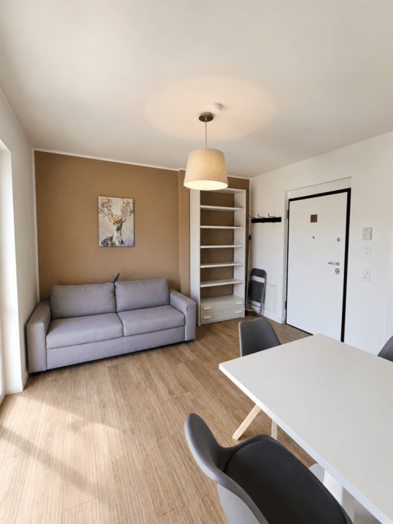 Appartement moderne de 2,5 pièces meublé avec balcon (2)