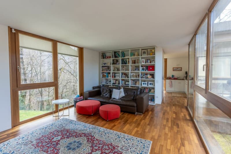 Maison d'art immergée dans la nature avec piscine (5)