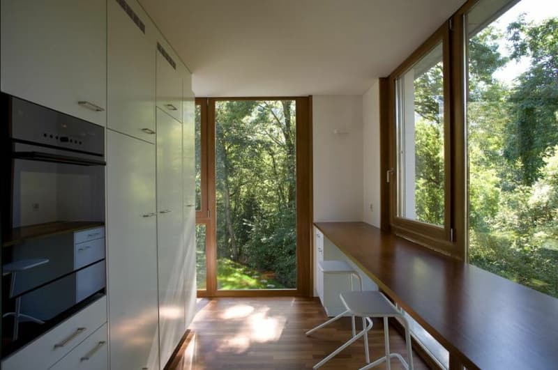 Maison d'art immergée dans la nature avec piscine (4)