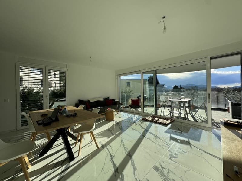 Bright 4,5 room apartment with beautiful terrace (3)