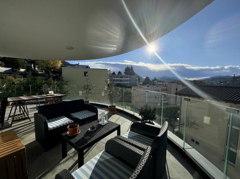 Bright 4,5 room apartment with beautiful terrace (1)