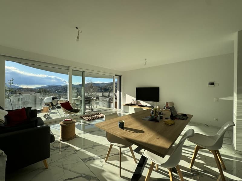 Bright 4,5 room apartment with beautiful terrace (5)