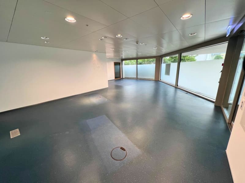 Modern office vis-a-vis the FFS station (3)
