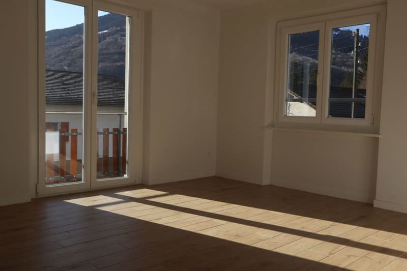 Interessantes und neues Mietshaus im Grünen, Olivone (2)