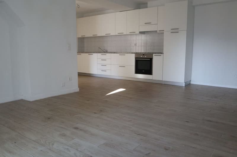Interessantes und neues Mietshaus im Grünen, Olivone (3)