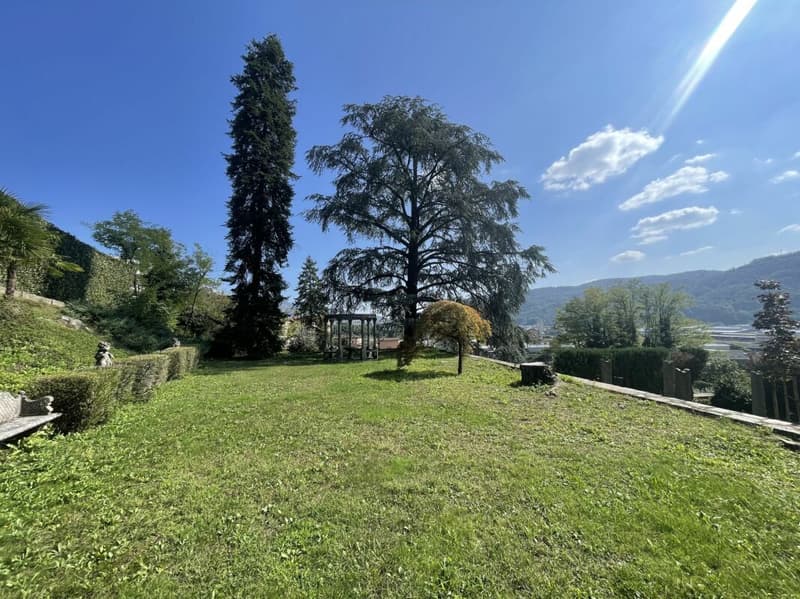 Renovierte Villa aus der Epoche mit bebaubarem Grundstück (17)